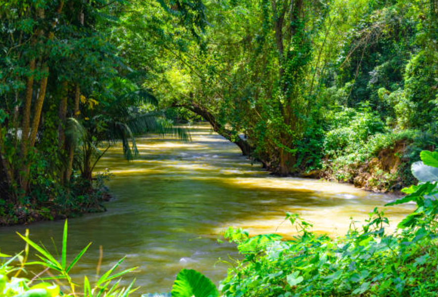 Martha Brae River, Near Falmouth, Trelawny, Jamaica
